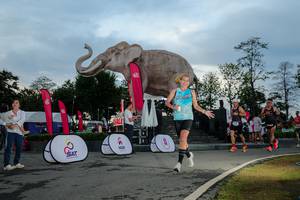 BIB: 
                            <button type="button" onclick="openModal(26529439)" class="btn btn-primary btn-sm float-right btn-popup" data-toggle="modal" data-target=".modal-high-quality">
                        <i class="fas fa-shopping-cart"></i> Add to Cart
                    </button>
                                            <button type="button" onclick="isThisMe(26529439, true)" class="btn btn-success btn-sm float-right btn-popup btn-isme hidden" data-toggle="tooltip" data-placement="bottom" title="นี่คือรูปของคุณใช่ไหม คลิกที่นี่เพื่อเอาเข้าอัลบั้ม">
                        <i class="fas fa-plus"></i> Add to album
                    </button>
                    <button type="button" onclick="isThisMe(26529439, false)" class="btn btn-warning btn-sm float-right btn-popup btn-isnotme hidden">
                        <i class="fas fa-ban"></i> Remove from album
                    </button>